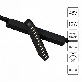 Светильник на штанге Arte Lamp Rapid черный арт. A2961PL-1BK