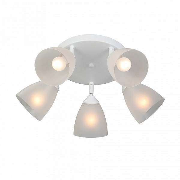 Потолочная люстра Vitaluce V4355 белый арт. V4355-0/5PL