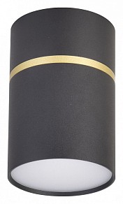 Накладной светильник Favourite Dunia черный арт. 3068-1C