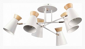 Потолочная люстра EVOLUCE Alfeo белый арт. SLE1252-502-06