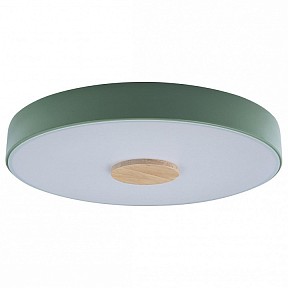 Накладной светильник Loft it Axel 2 яркие арт. 10003/24 Green