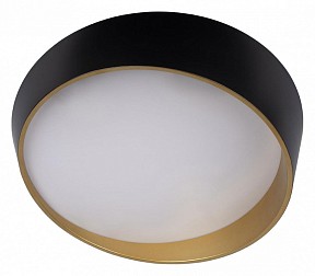 Накладной светильник Loft it Coin черный арт. 10199 Black