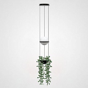 Подвесной светильник Imperiumloft Palma Wall Lamp серый арт. 22.93727