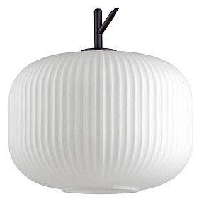 Подвесной светильник Odeon Light Roofi черный арт. 4754/1
