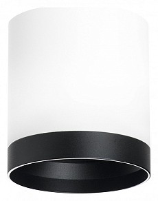 Накладной светильник Lightstar Rullo белый арт. R34863487
