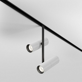 Светильник на штанге Maytoni Elti Duo черный арт. TR005-2-2X12W4K-BW