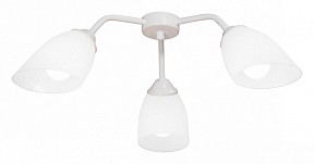 Потолочная люстра Vitaluce V31950 белый арт. V31950/3PL