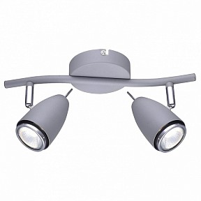 Спот Arte Lamp Regista серый арт. A1966AP-2GY