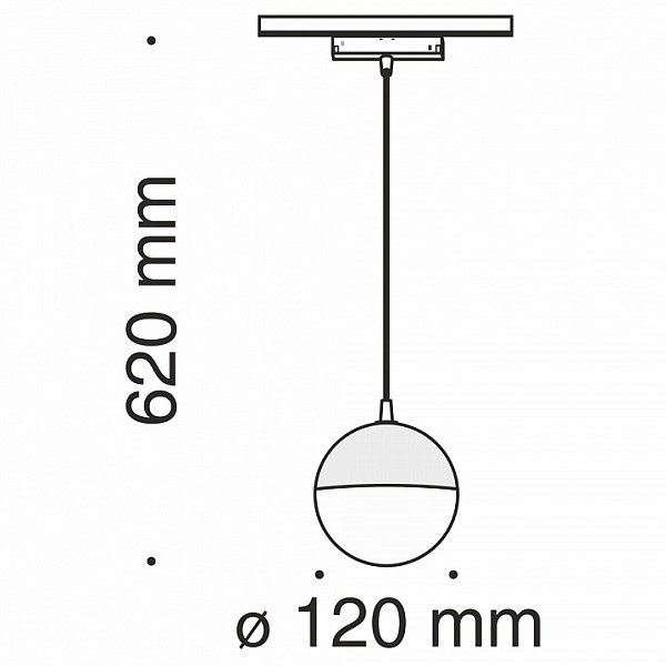 Подвесной светильник Maytoni Track lamps черный арт. TR018-2-10W3K-B