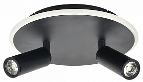 Светильник на штанге Escada 20046LED черный арт. 20046SMA/02LED BK