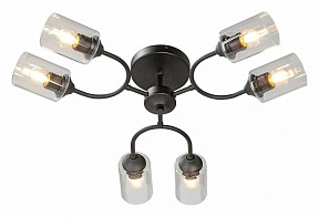 Потолочная люстра Vitaluce V2822 черный арт. V2822-1/6PL