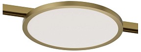 Накладной светильник Denkirs SHINE FLOW латунь арт. DK5763-SB