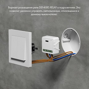Контроллер Denkirs Relay белый арт. RL1001-SM