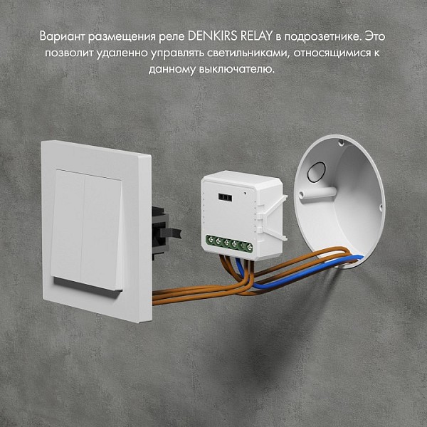 Контроллер Denkirs Relay белый арт. RL1001-SM