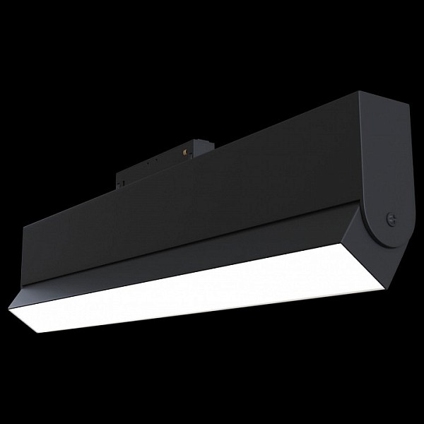 Накладной светильник Maytoni Track lamps черный арт. TR013-2-20W3K-B