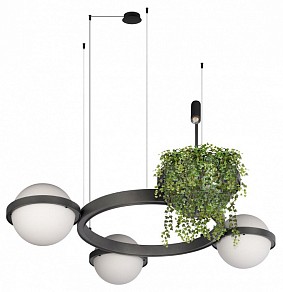 Подвесная люстра Loft it Jardin серый арт. 10121/3 Dark grey