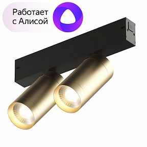 Светильник на штанге Denkirs Smart черный арт. DK8012-BG