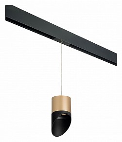 Подвесной светильник Lightstar Rullo черный арт. PRORP349087