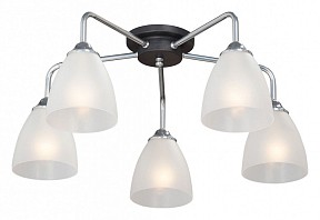 Потолочная люстра Vitaluce V4500 металл арт. V4500-9/5PL
