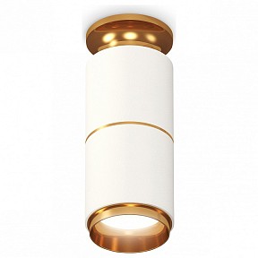 Накладной светильник Ambrella Light XS золото арт. XS6301260