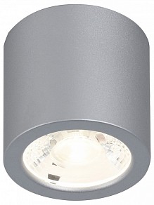 Накладной светильник Favourite Deorsum металл арт. 2808-1C
