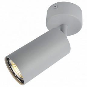 Спот Arte Lamp 3216 серый арт. A3216PL-1GY