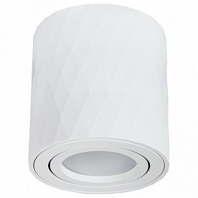Накладной светильник Arte Lamp Fang 2 белый арт. A5559PL-1WH