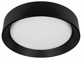 Накладной светильник Loft it Coin черный арт. 10202 BB