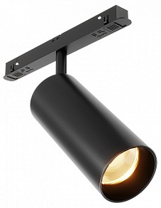 Светильник на штанге Maytoni Technical Focus LED черный арт. TR032-2-20W2.7K-M-B