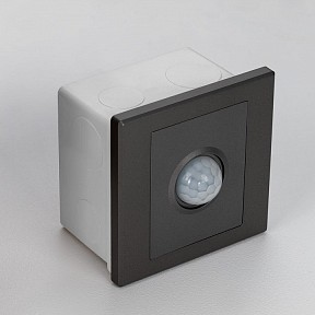 Датчик движения Citilux Skally графитовый арт. CLR005KS1