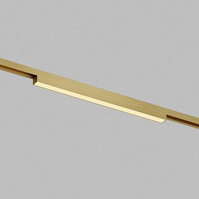 Накладной светильник Denkirs  латунь арт. DK5951-SB