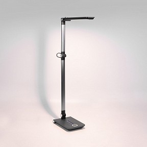 Настольная лампа офисная Elektrostandard Great серый арт. a065290