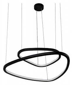 Подвесной светильник Arte Lamp Madison черный арт. A2194SP-2BK