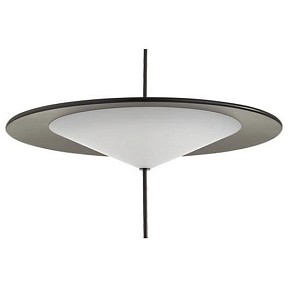 Подвесной светильник Odeon Light Steka черный арт. 5012/16L