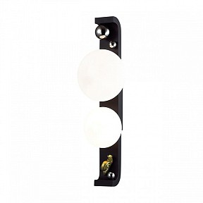 Накладной светильник Odeon Light NATURE черный арт. 5434/2W