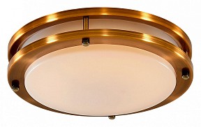 Накладной светильник Citilux Бостон бронза арт. CL709203N