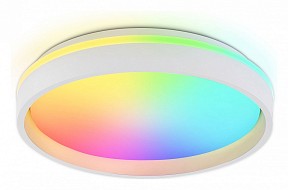 Накладной светильник Ambrella Light FZ белый арт. FZ601