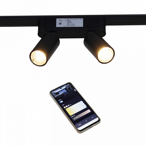 Светильник на штанге Reluce 13005 черный арт. 13005-9.3-002UR magnetic LED2x5W BK CCT+SMART