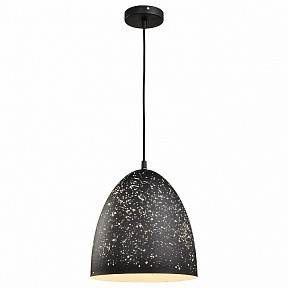 Подвесной светильник Lussole Loft черный арт. GRLSP-9892