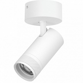 Спот Lightstar Canno Pro белый арт. C4306SO