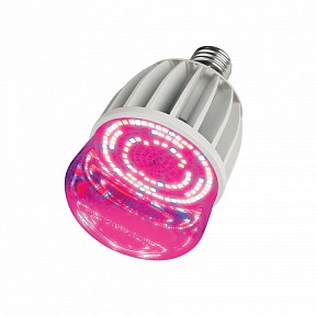 Лампа светодиодная Uniel LED-M80  арт. LED-M80-20W/SP/E27/CL ALS55WH картон