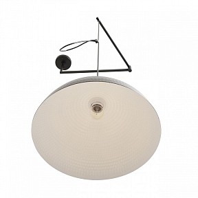 Подвесной светильник Lumion MODERNI черный арт. 8321/1C