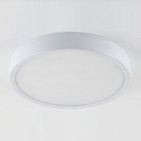 Накладной светильник Elektrostandard DLR034 белый арт. a043015