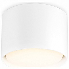 Накладной светильник Ambrella Light TN белый арт. TN5301