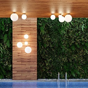 Накладной светильник Odeon Light Bosco золото арт. 4248/1C