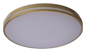 Накладной светильник Zortes Gabby золото арт. ZRS.90610.50