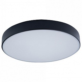Накладной светильник Loft it Axel 1 черный арт. 10002/24 Black