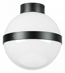 Накладной светильник Lightstar Globo черный арт. 812117