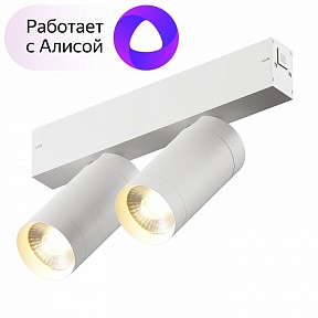 Светильник на штанге Denkirs Smart белый арт. DK8012-WH