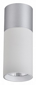 Накладной светильник Favourite Deepak серый арт. 3071-1C